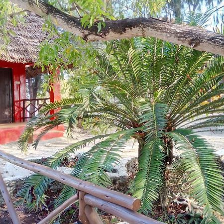 Twisted Palms Lodge & Restaurant Bwejuu Ngoại thất bức ảnh