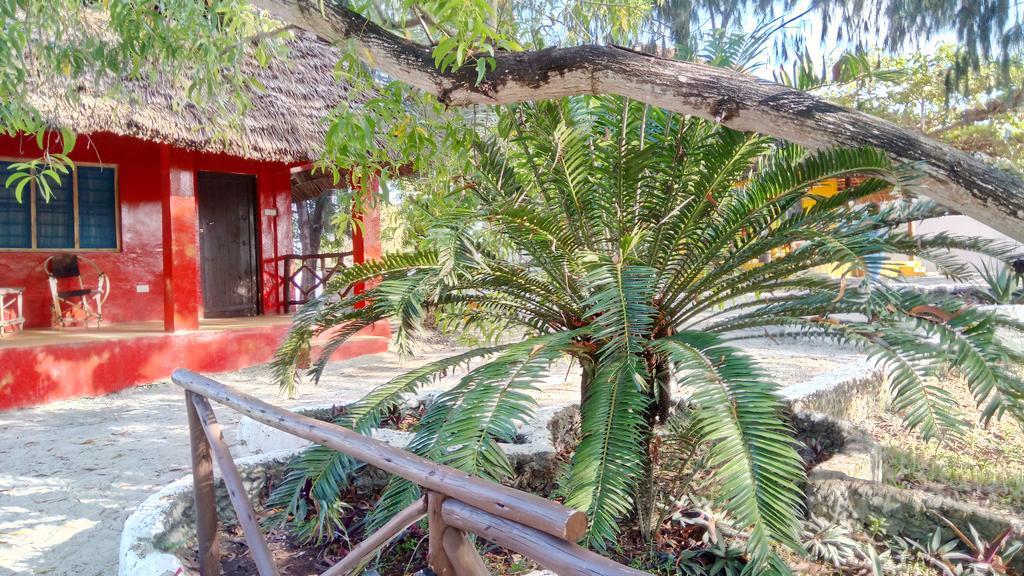 Twisted Palms Lodge & Restaurant Bwejuu Ngoại thất bức ảnh
