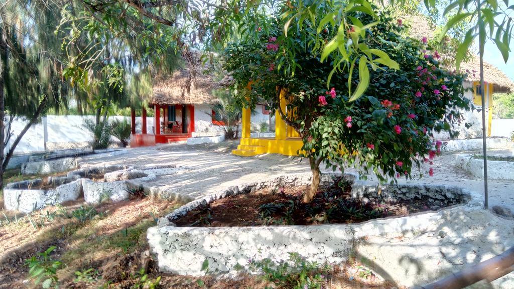 Twisted Palms Lodge & Restaurant Bwejuu Ngoại thất bức ảnh