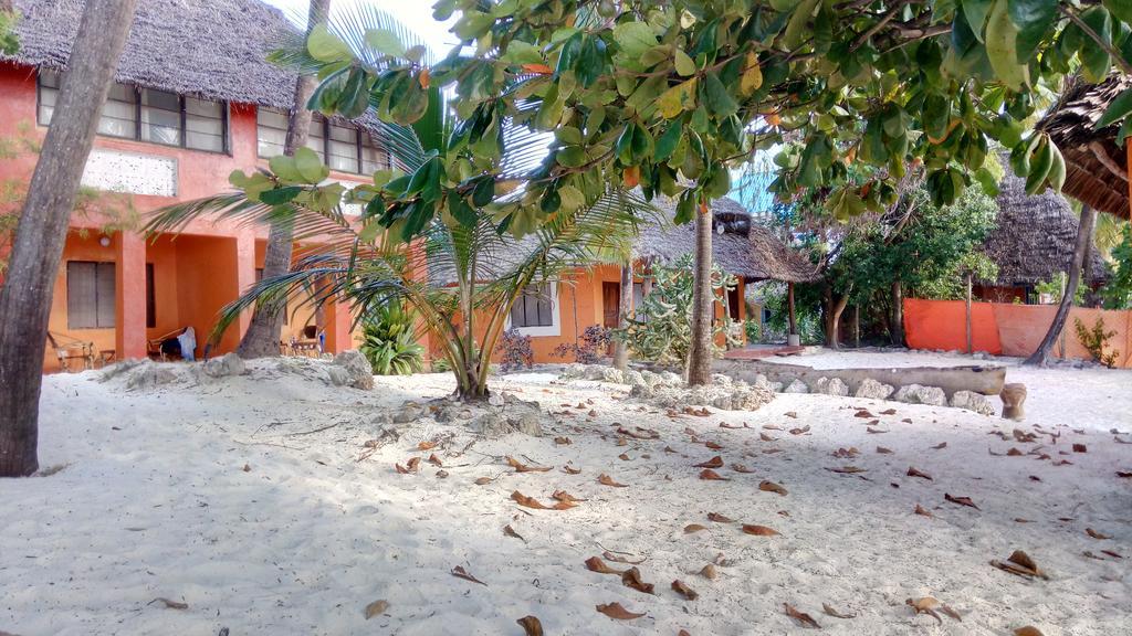 Twisted Palms Lodge & Restaurant Bwejuu Ngoại thất bức ảnh