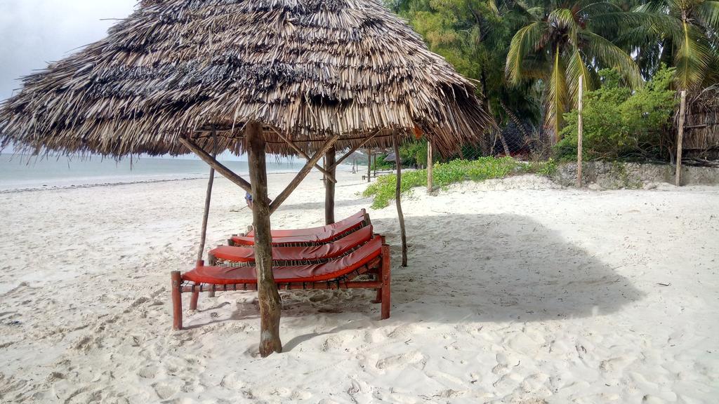 Twisted Palms Lodge & Restaurant Bwejuu Ngoại thất bức ảnh