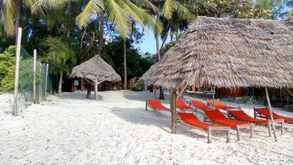 Twisted Palms Lodge & Restaurant Bwejuu Ngoại thất bức ảnh