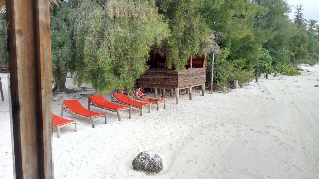 Twisted Palms Lodge & Restaurant Bwejuu Ngoại thất bức ảnh